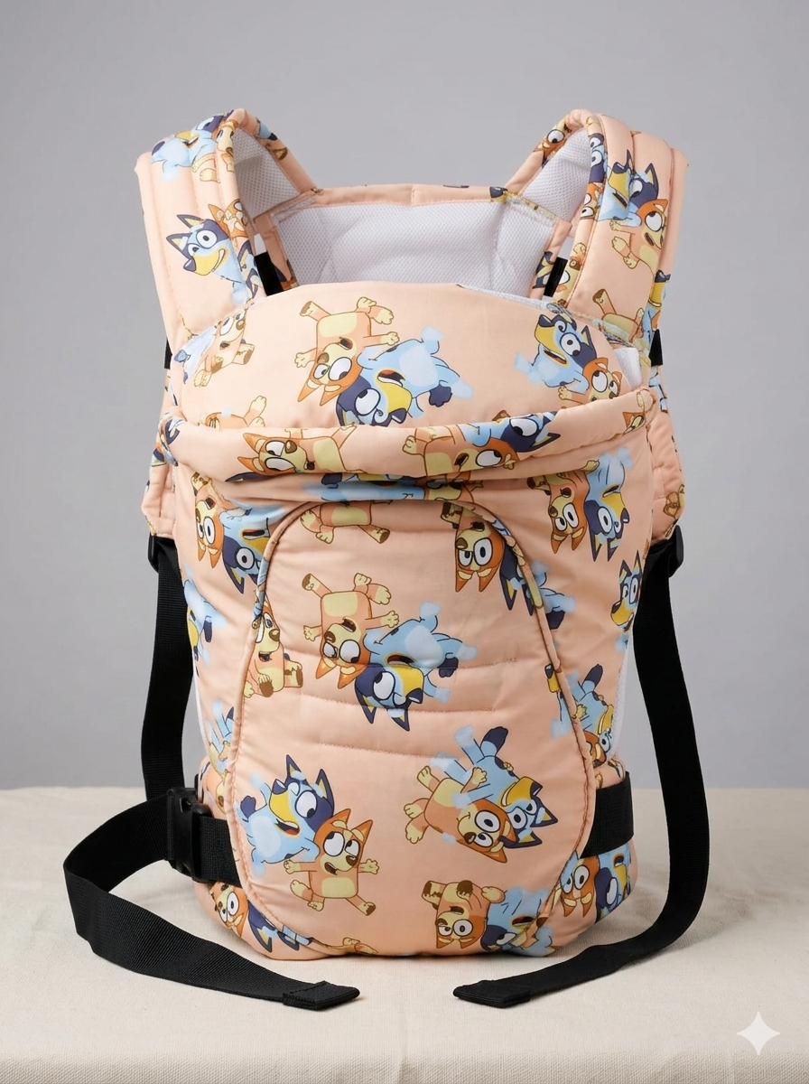 ২টি ক্যারি ব্যাগ